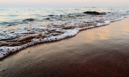 海岸在线观看,探索海洋之美，畅游虚拟海洋世界